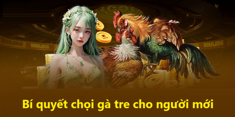 Bí quyết nào giúp anh em chiến thắng khi tham gia chọi gà tre 